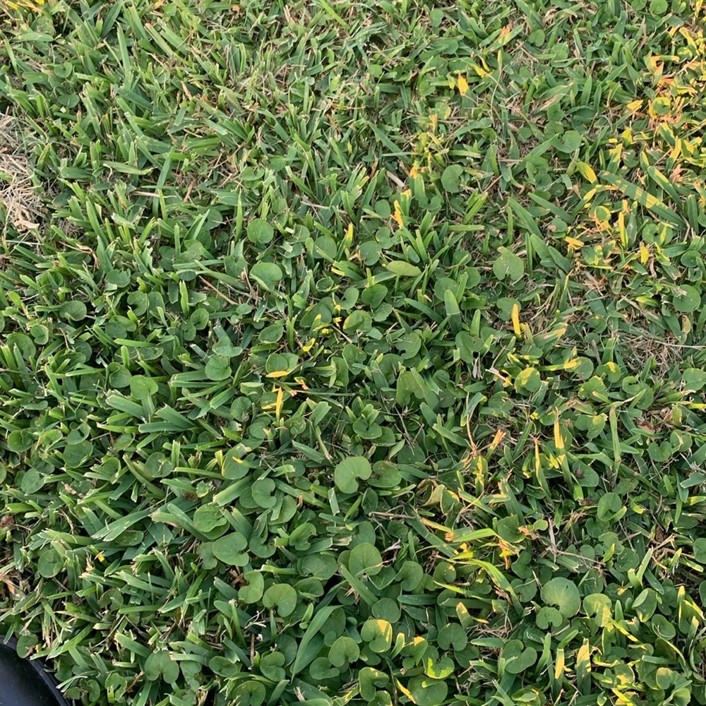 Trade as agreed Designer VERSACE Large Tote Handbag with Pouch